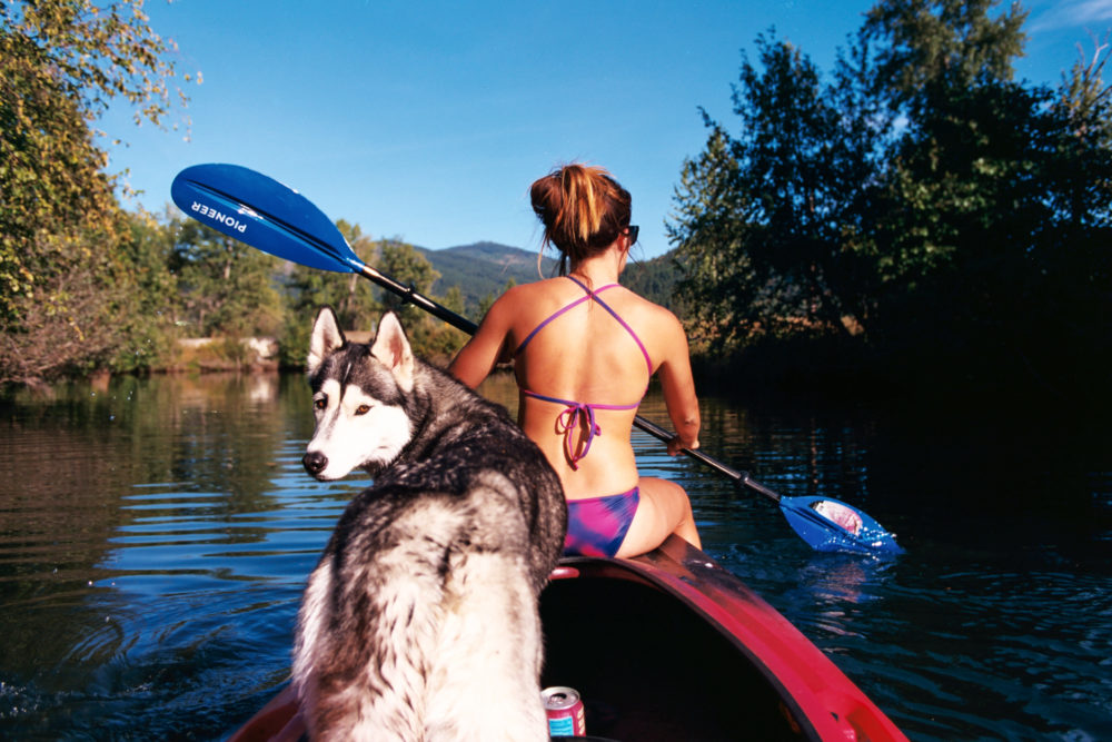 CDA dog photo contest