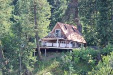 Tree House home on the Lake