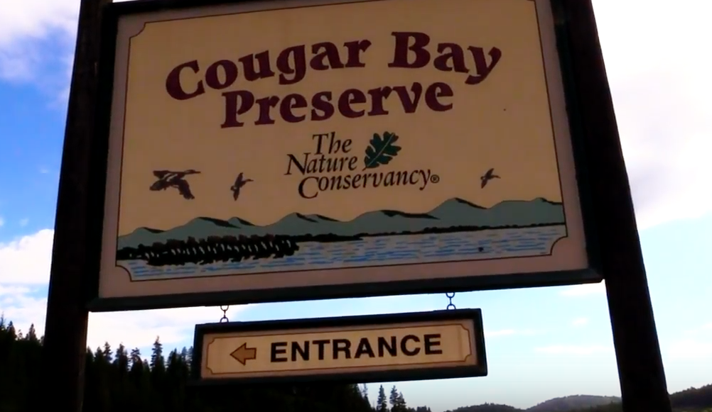 Cougar Bay